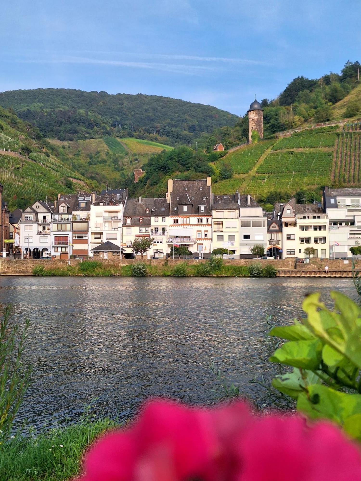 Mosel View Old Town * Zell