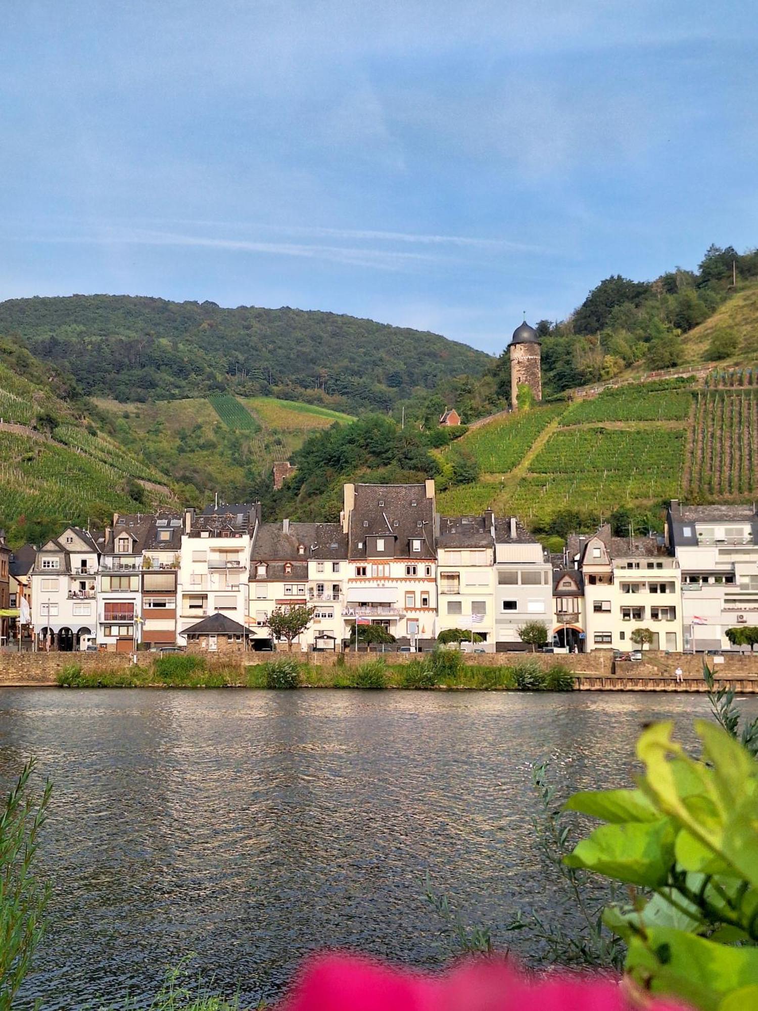 Apartment Mosel View Old Town
