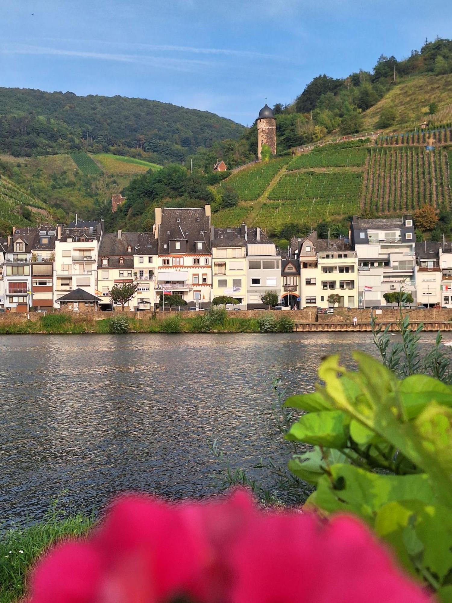Mosel View Old Town Apartment Zell