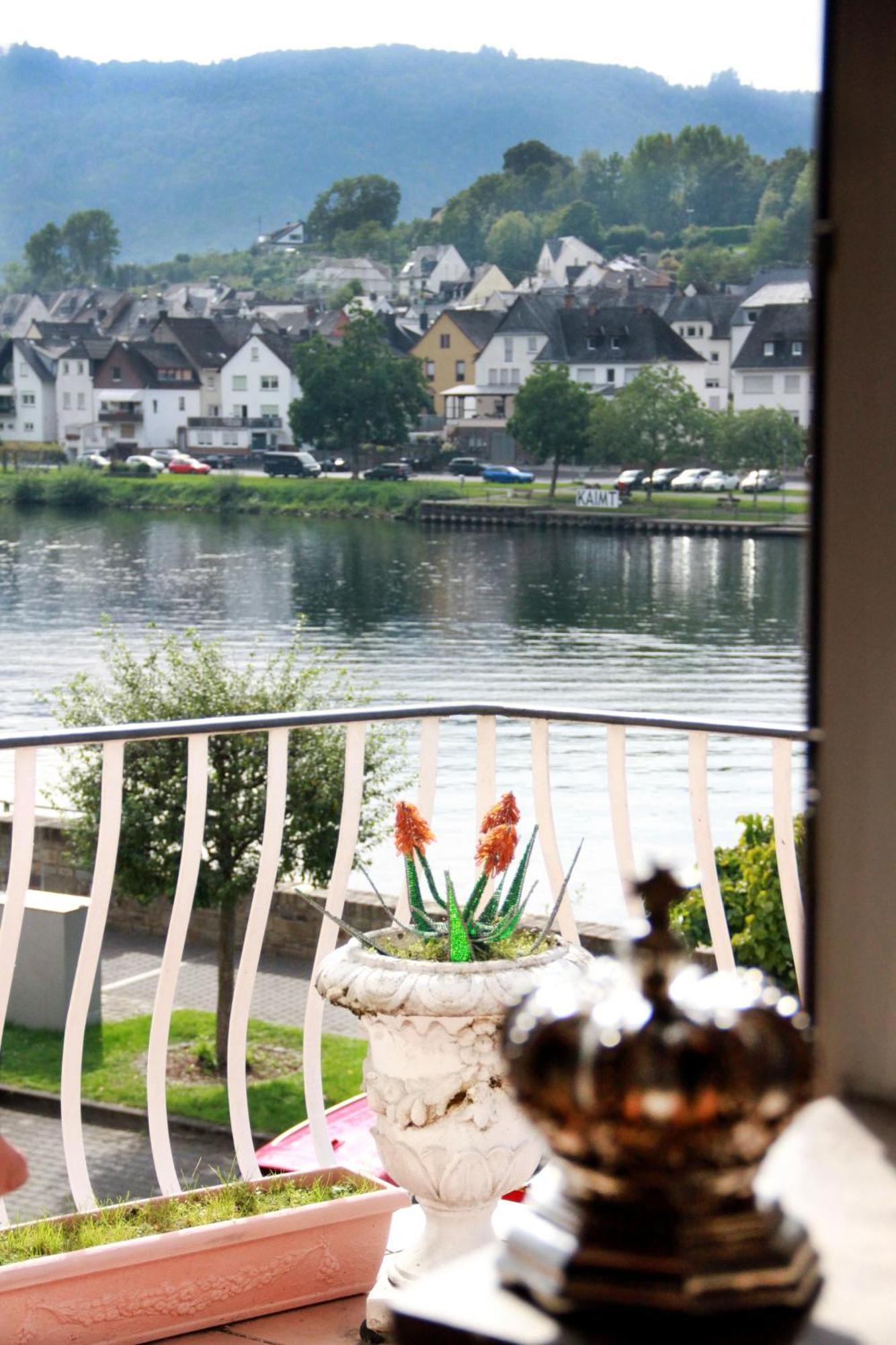 Mosel View Old Town * Zell